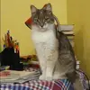 Отзыв от Яна Старостина